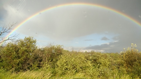 Header of wanderingdreads