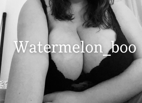 Header of watermelon_boo