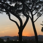 wildside (Wildside) free OnlyFans content 

 profile picture