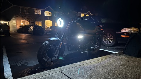 Header of witchkitty