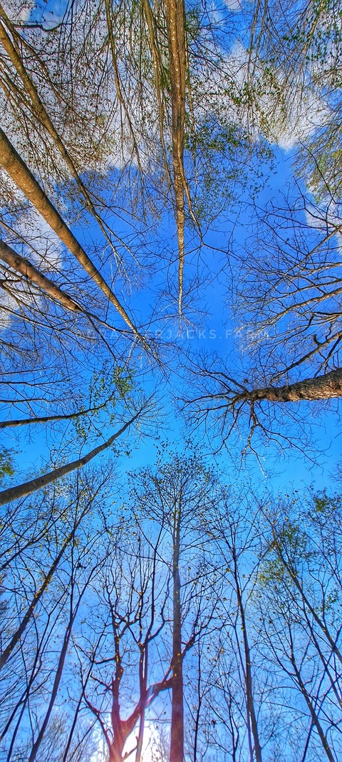 Header of witchylitttlewoman