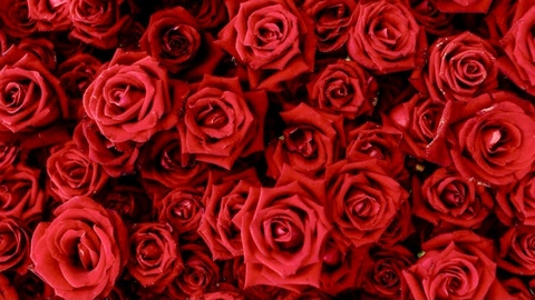 Header of workoutwithlauren