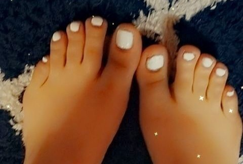 Header of xena88rose