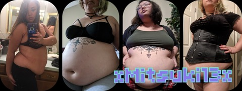 Header of xmitsuki13x