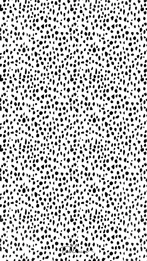 Header of xoxo.madison