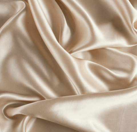 Header of xtinapetty