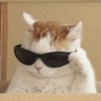 yeonwoo (연우) OnlyFans Leaked Videos and Pictures 

 profile picture