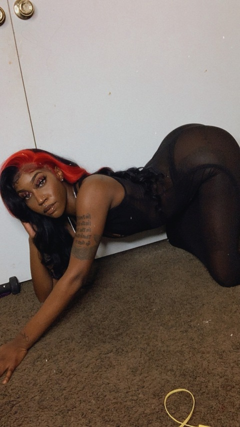 Header of yesss_lawwdd