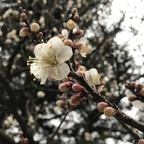 Onlyfans leaked yukiyuki 

 profile picture