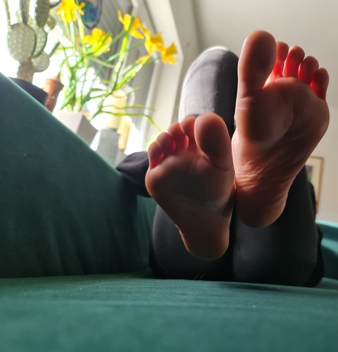 Header of zahraquinnoffical