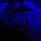 Free access to (@zena20) Leak OnlyFans 

 profile picture