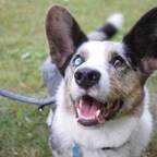 ziggystardust (Ziggy Stardust Motivational Borker) OnlyFans Leaks 

 profile picture